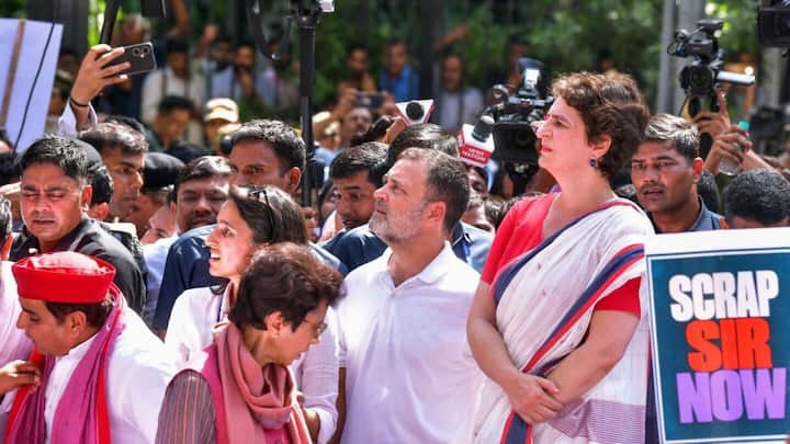 'What about Tamil Nadu?' DMK questions Rahul Gandhi's SIR stand 