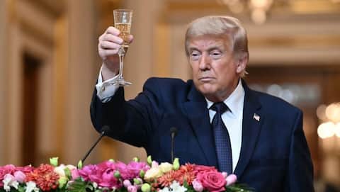 'We had extremely positive, productive conversations': Trump on Xi meeting 