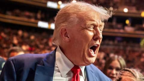 Trump reposts letter calling India, China 'hellholes' over birthright citizenship 