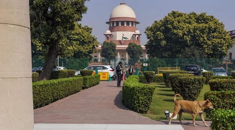 Homemakers 'nation builders,' their work worth minimum ₹30,000/month: SC 