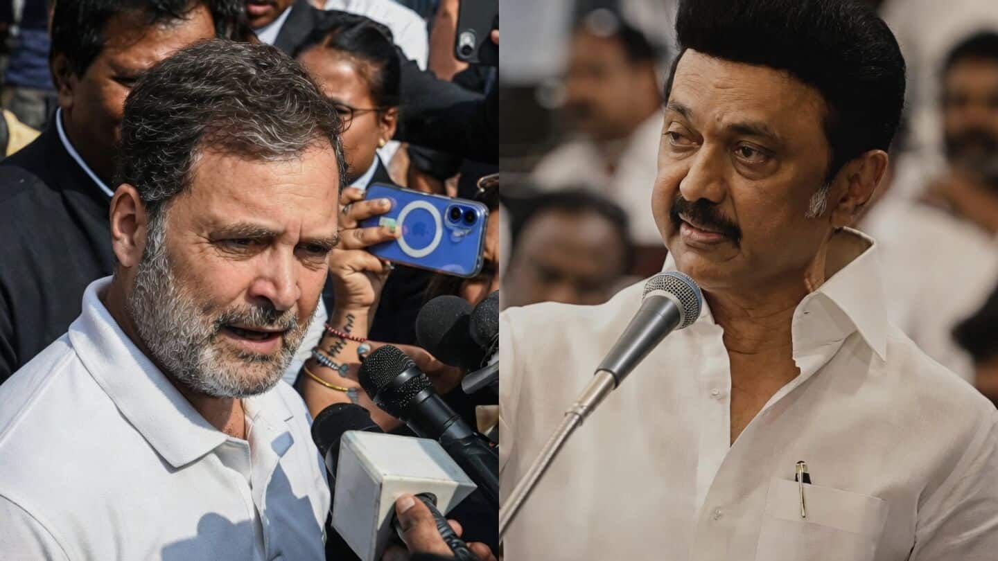 'We carried Congress on our shoulders': DMK mocks Rahul Gandhi