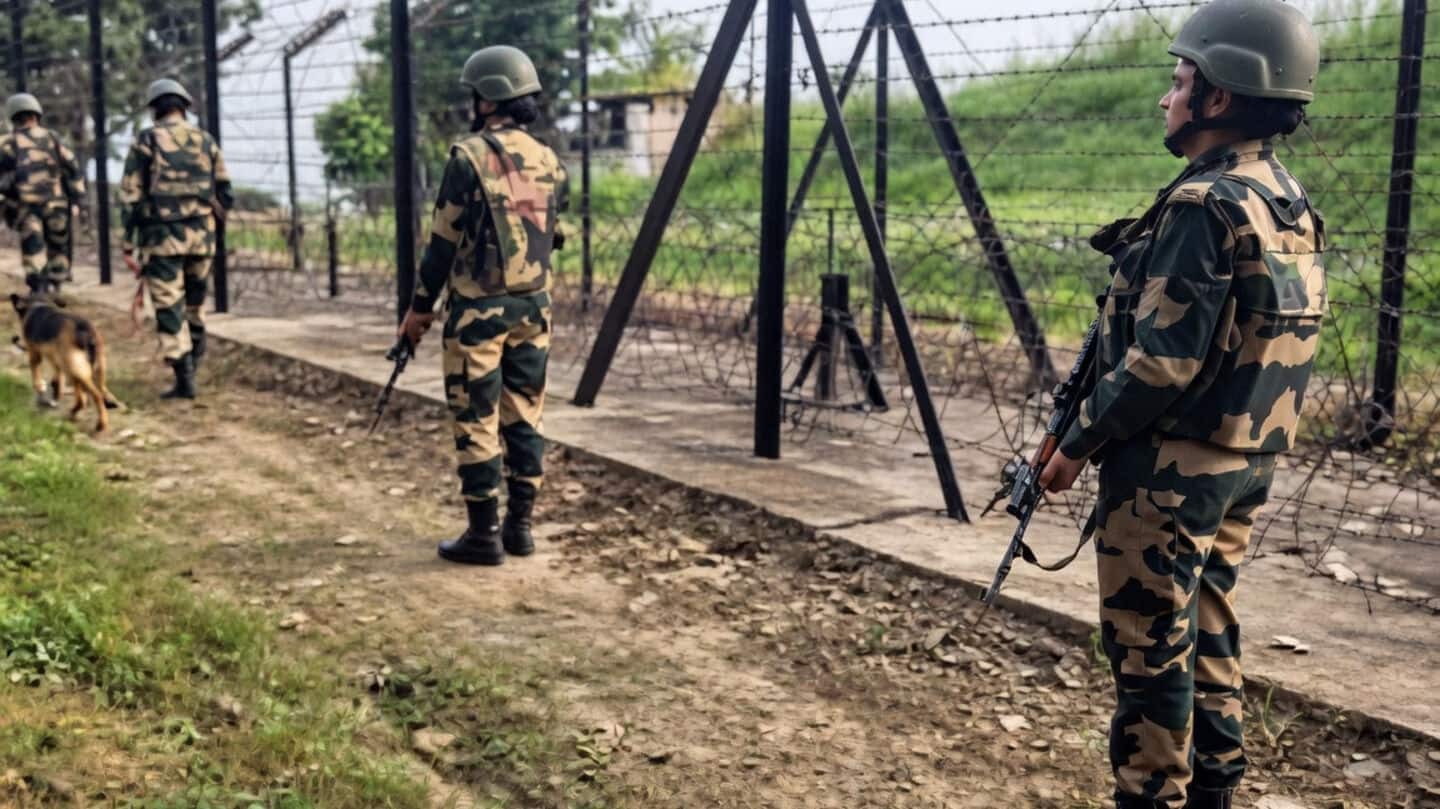 BSF neutralizes 2 Pakistani intruders in Punjab's Tarn Taran 