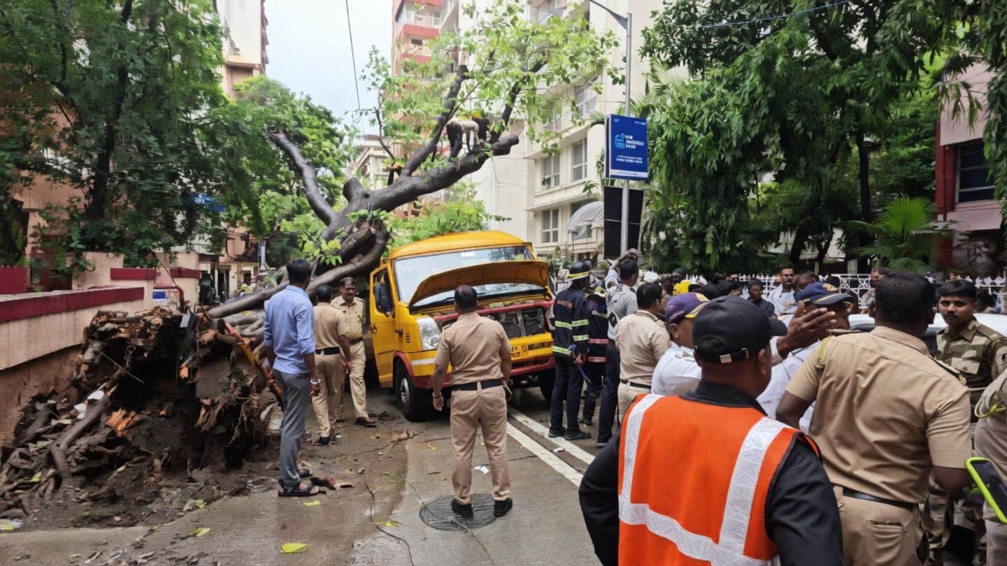 Mumbai: 11-year-old killed, 4 hospitalized after tree falls on school-bus 