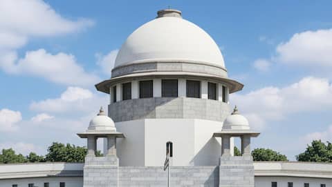 'They had...child together': SC decries rape allegation in live-in case 