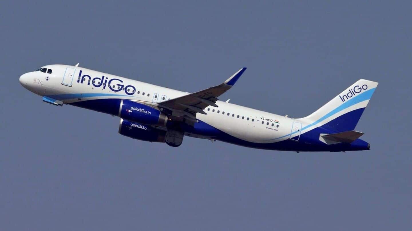 IndiGo apologizes as hundreds of flight cancellations cause chaos 