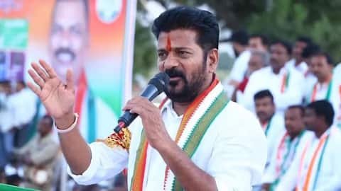 'Why so many Hindu gods?' Revanth Reddy's remarks stir row