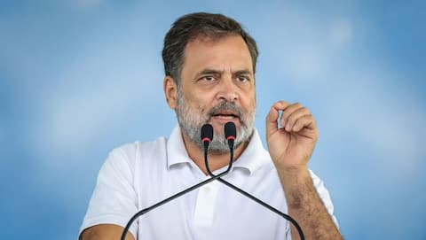 'Everything is in no.16': What is Rahul Gandhi referring to 