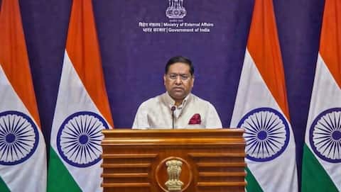 MEA's 10-word response after Trump reshares post calling India 'hellhole' 