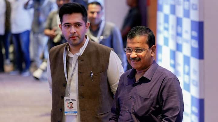 Raghav Chadha tried to sneak into Delhi voter rolls: AAP 