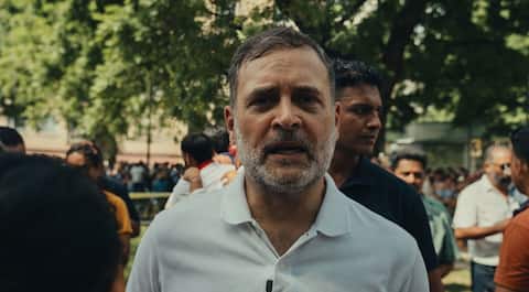 'We'll not only counter BJP, we'll destroy them': Rahul Gandhi 