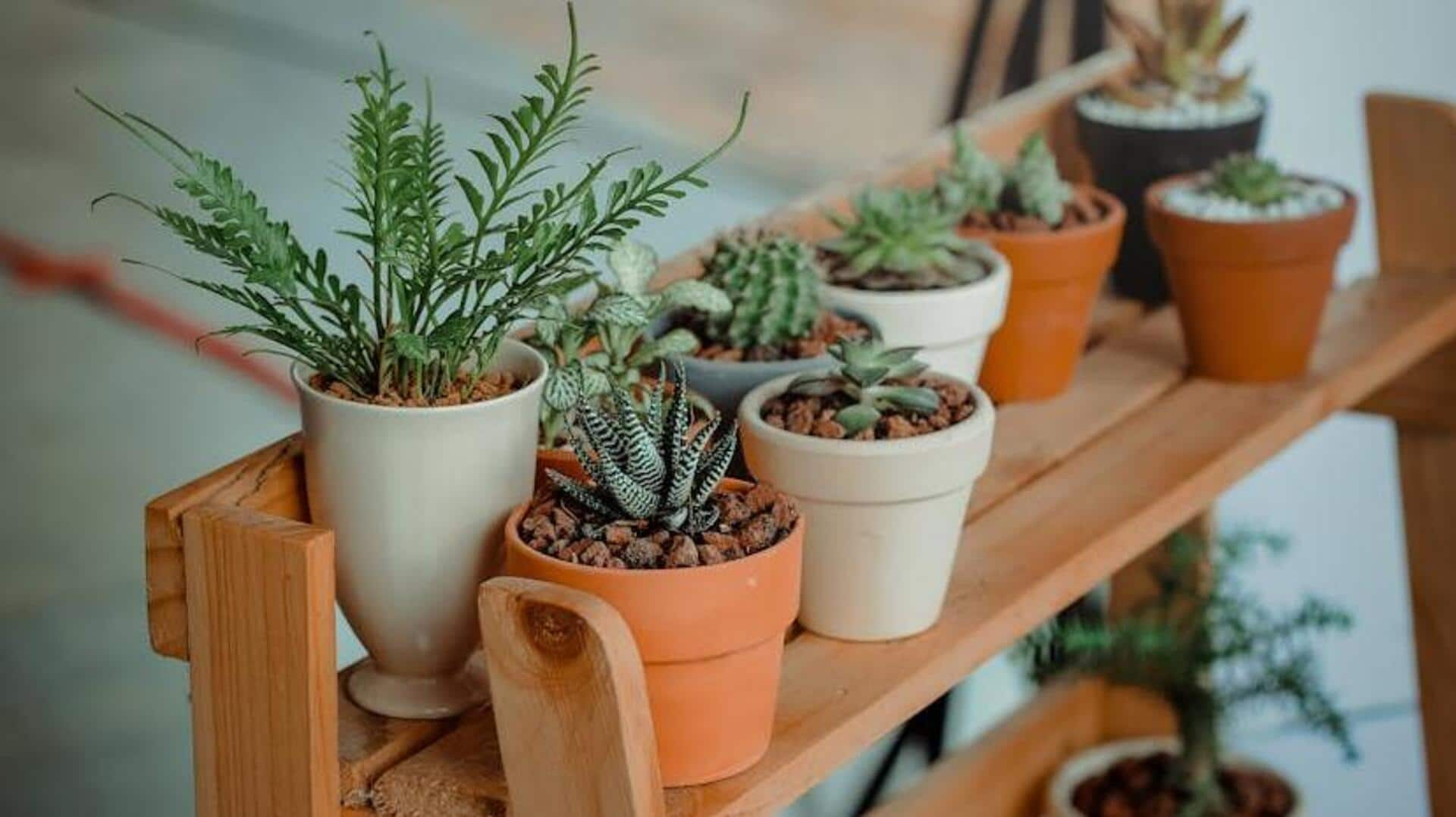 Caring for plants can help you relax