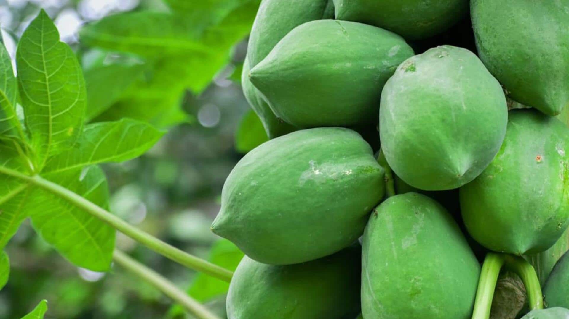 Green papaya: An unripe secret to flavorful meals Green papaya: An unripe secret to flavorful meals