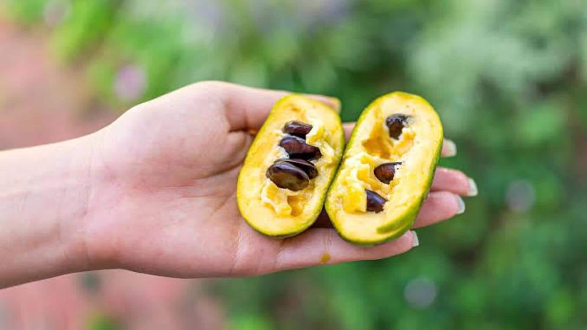 What is pawpaw fruit?