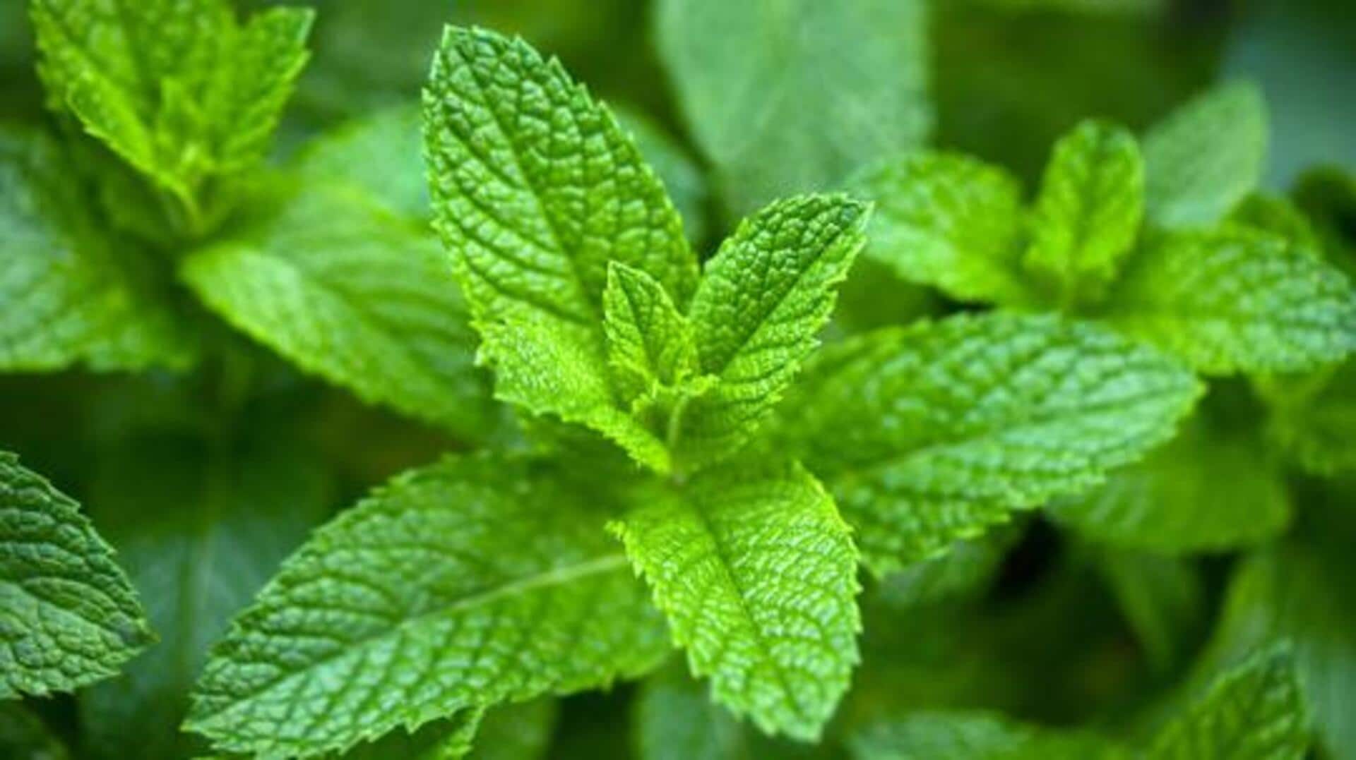 5 delicious ways to use fresh peppermint