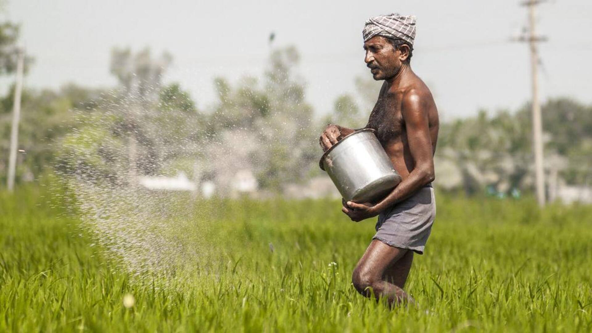 Russian sellers stop offering discounted fertilizers to India