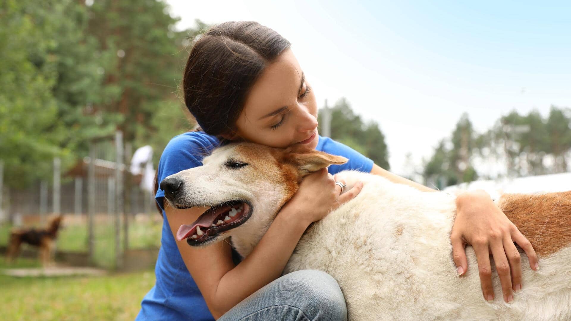 International Dog Day: Expert tips to comfort newly adopted dog