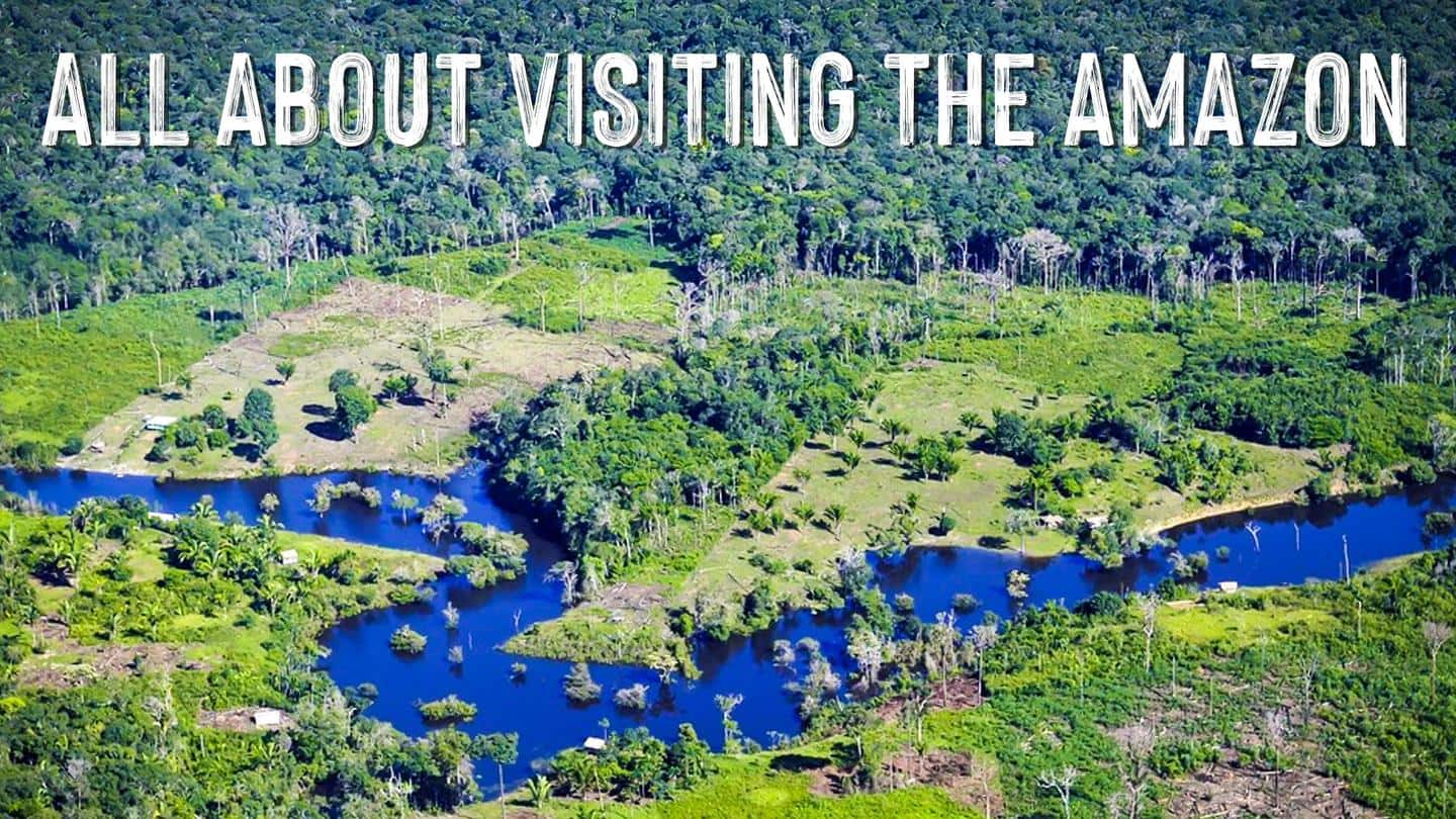 Everything you need to know about visiting the Amazon