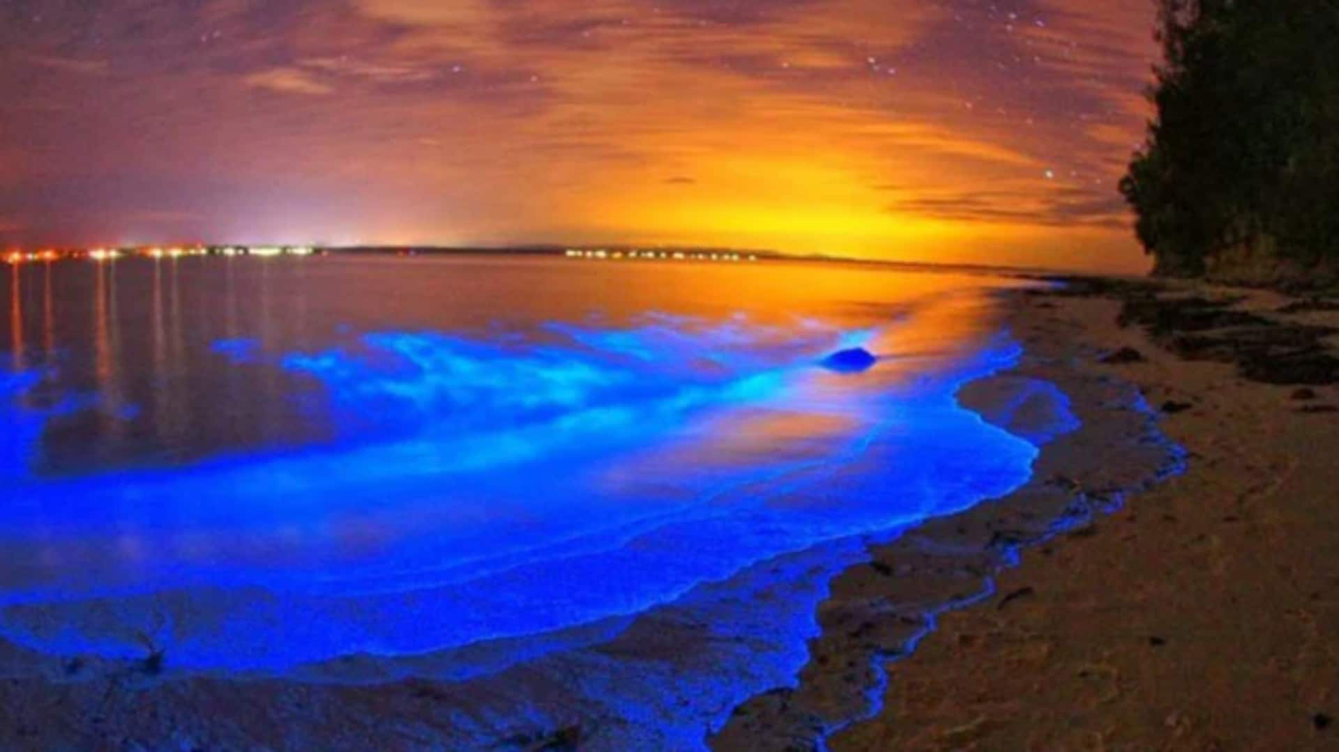 Glide through the glowing waters of Mosquito Bay, Puerto Rico