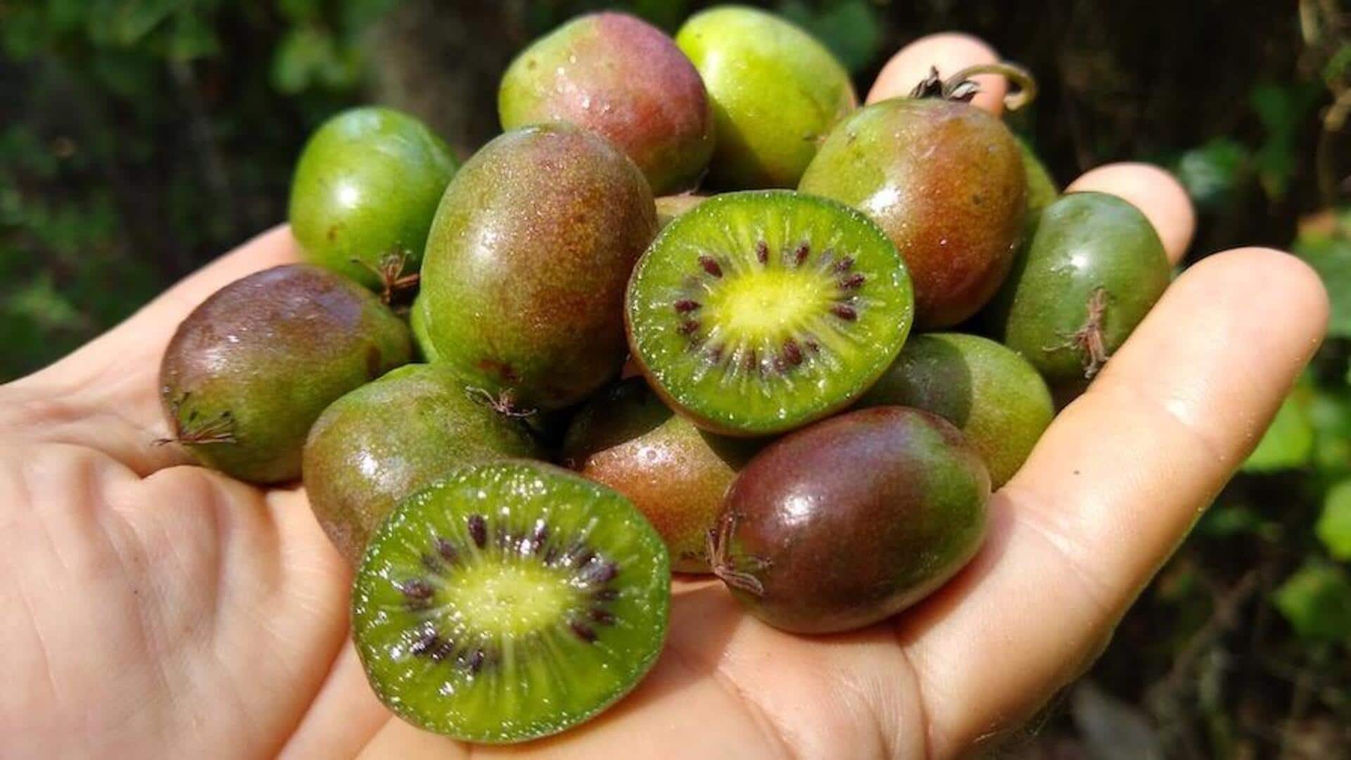 5 surprising benefits of kiwiberry