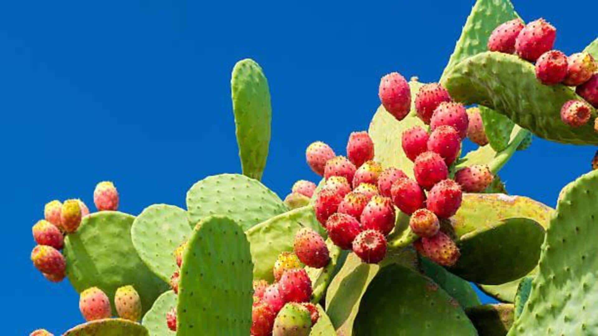 How to cook with cactus pear