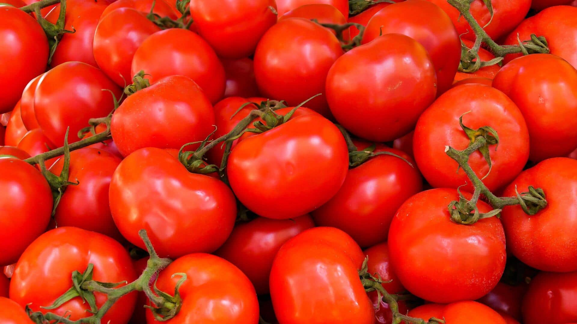 Tomato sales skyrocket on ONDC with 22,500 orders a month