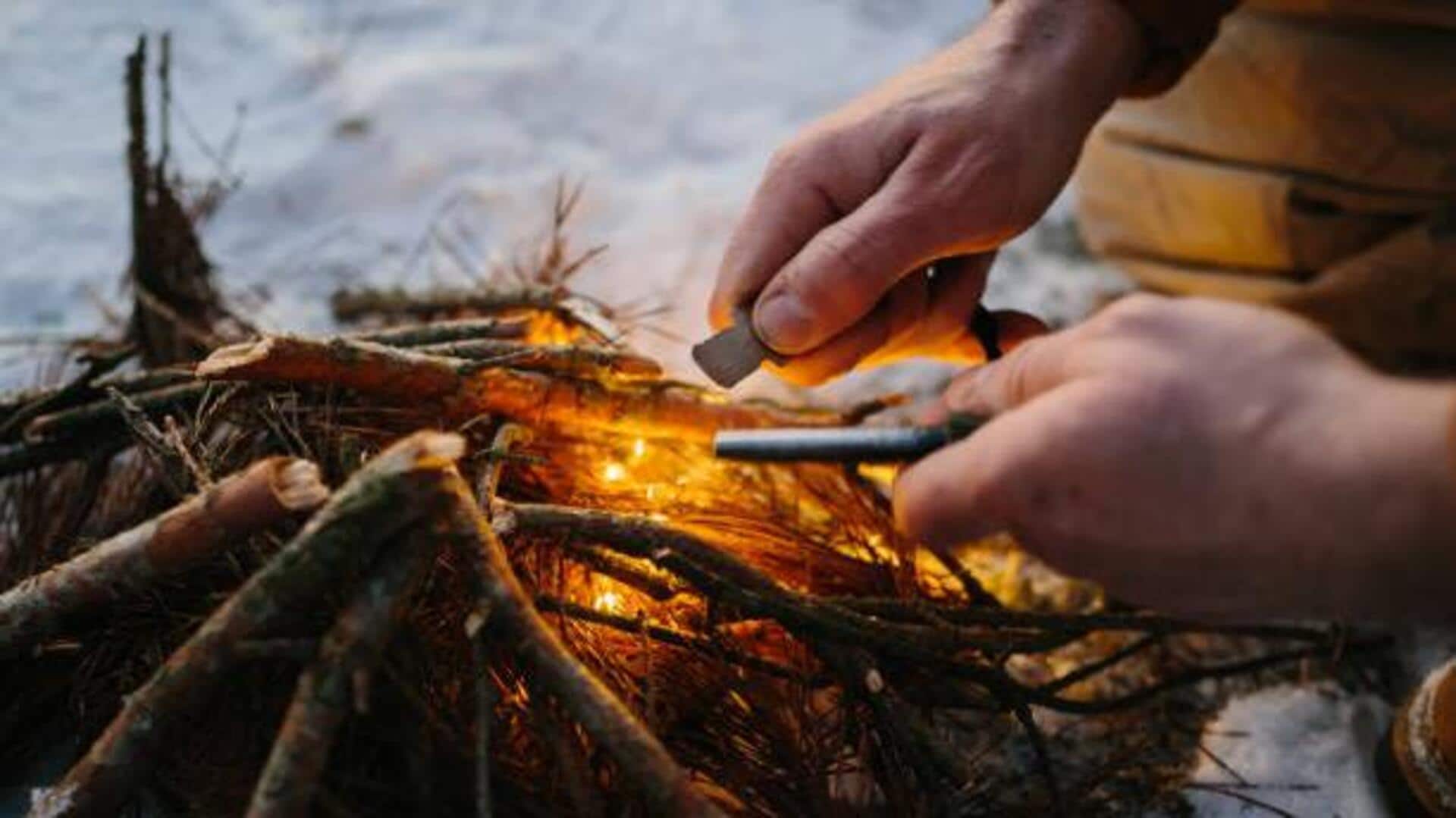 Bushcraft 101: Tips to survive the wild like a pro Bushcraft 101: Tips to survive the wild like a pro