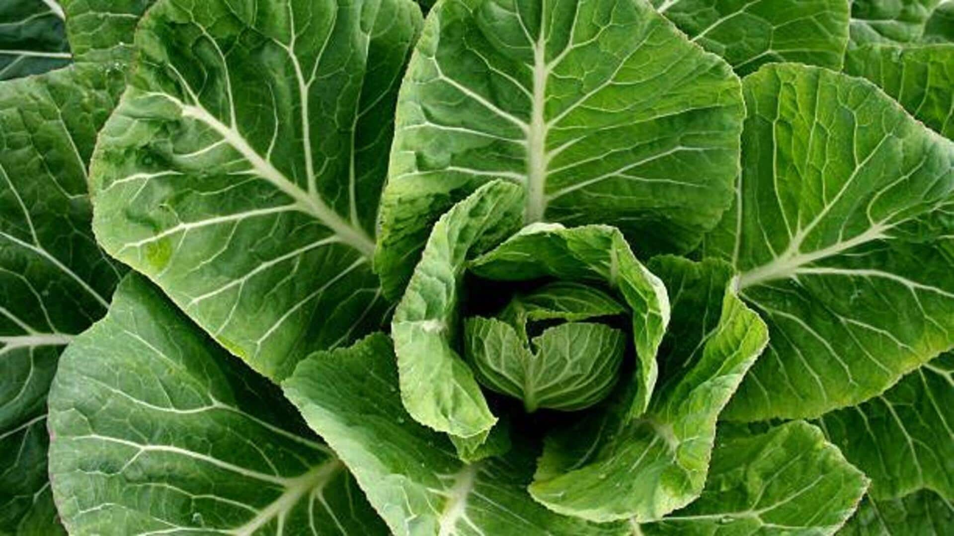 Collard greens: 5 must-try dishes Collard greens: 5 must-try dishes