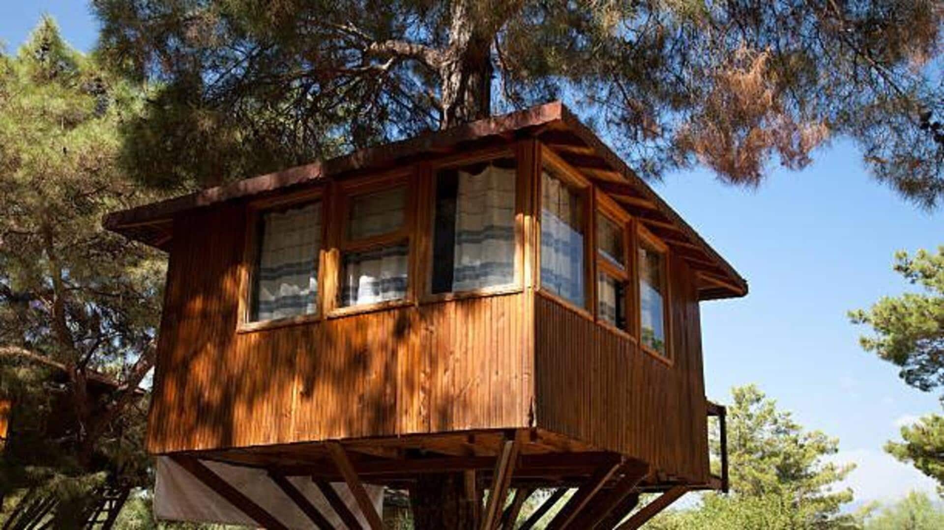 India's most amazing treehouse stays: A list