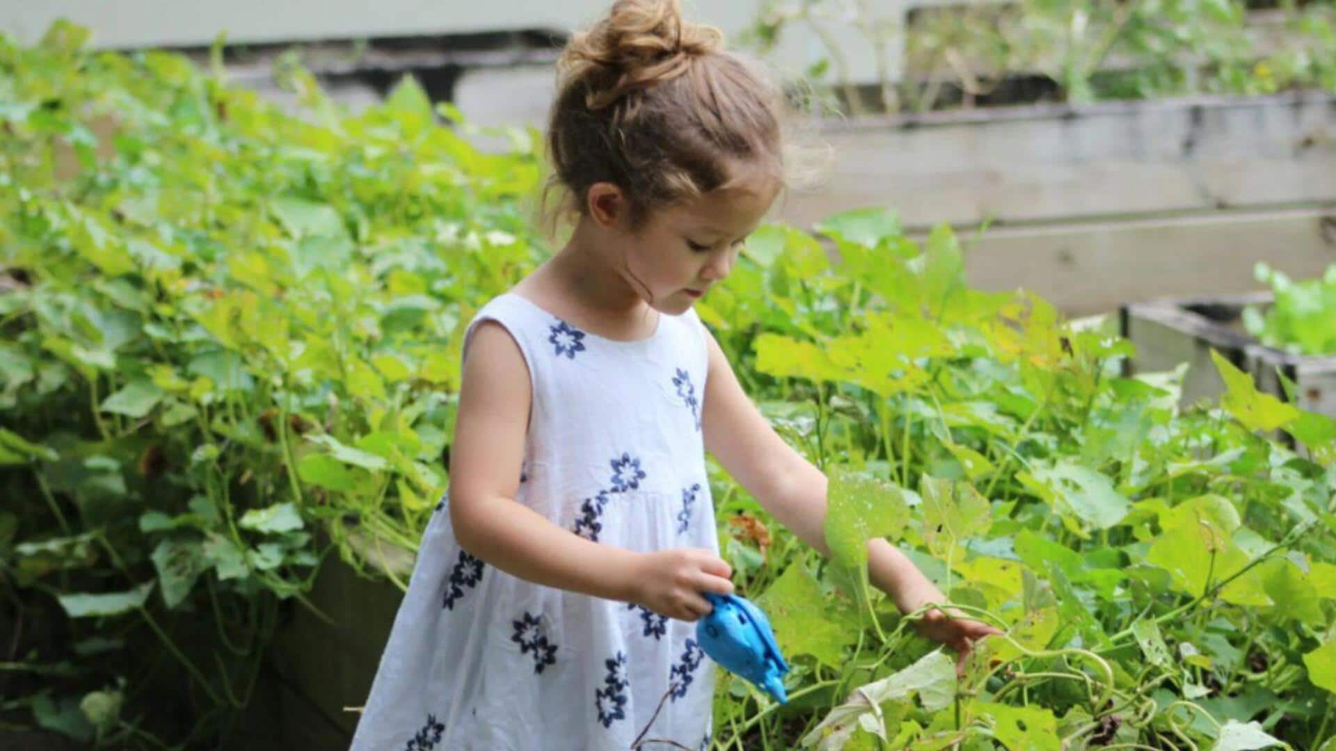 5 fun gardening projects that teach kids responsibility 5 fun gardening projects that teach kids responsibility