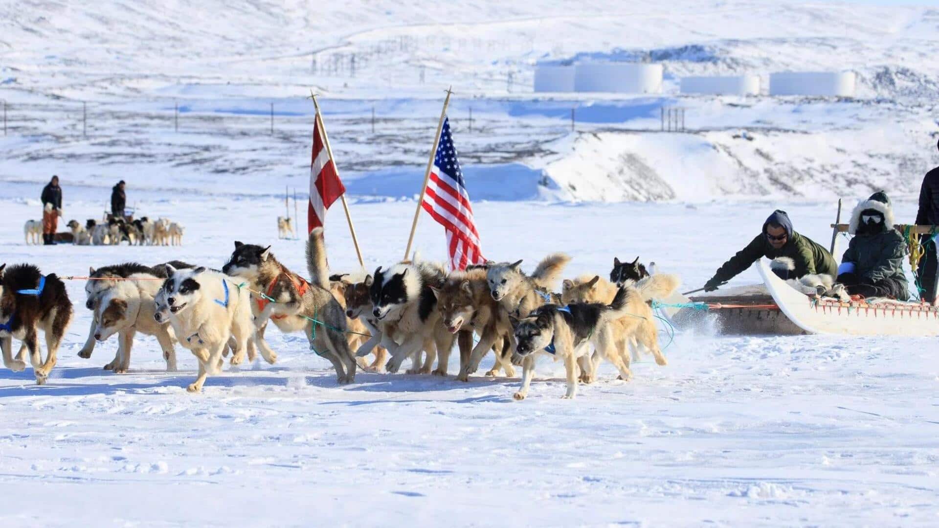 'Greenland's defense is 2 dog sleds': Trump pushes US acquisition