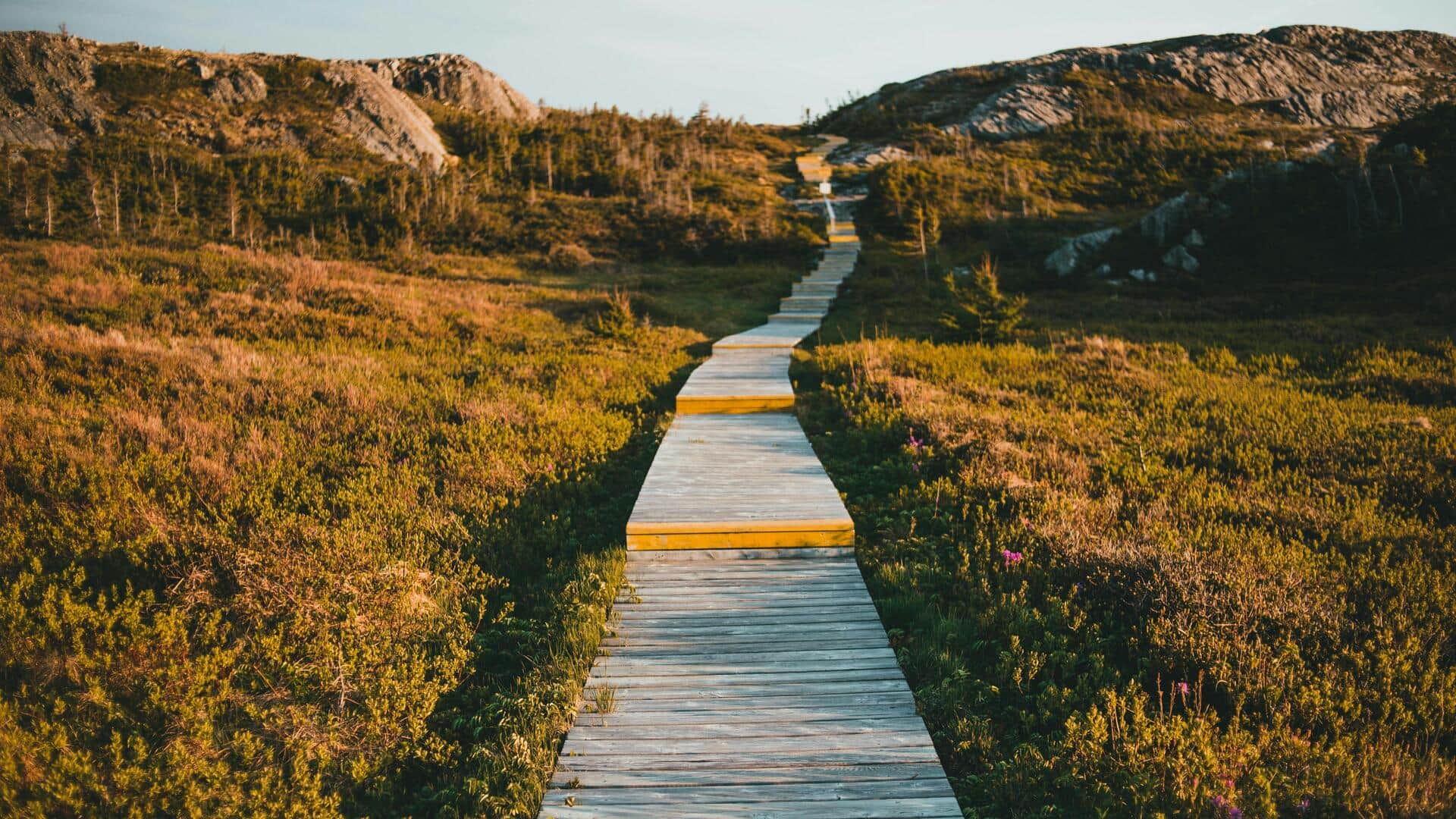 You must explore these bog boardwalks in Estonia