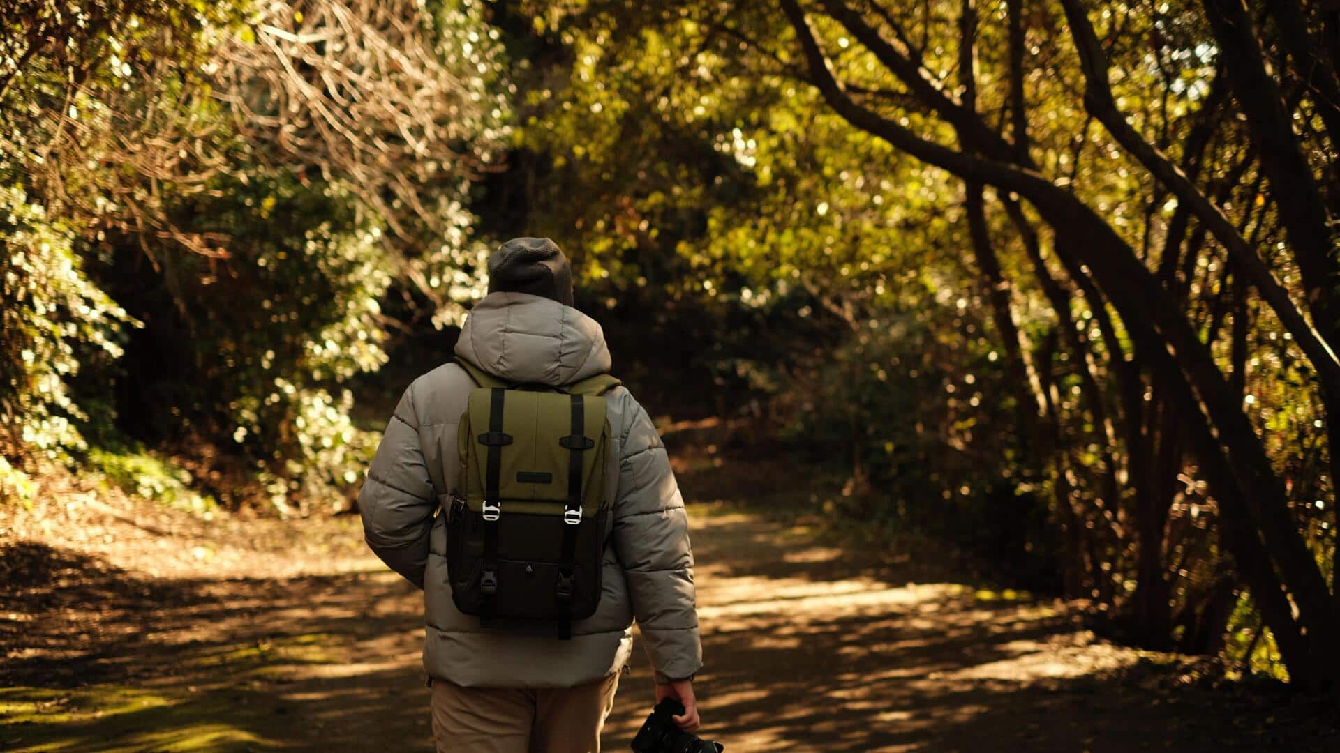 What are the benefits of nature photography walks? 