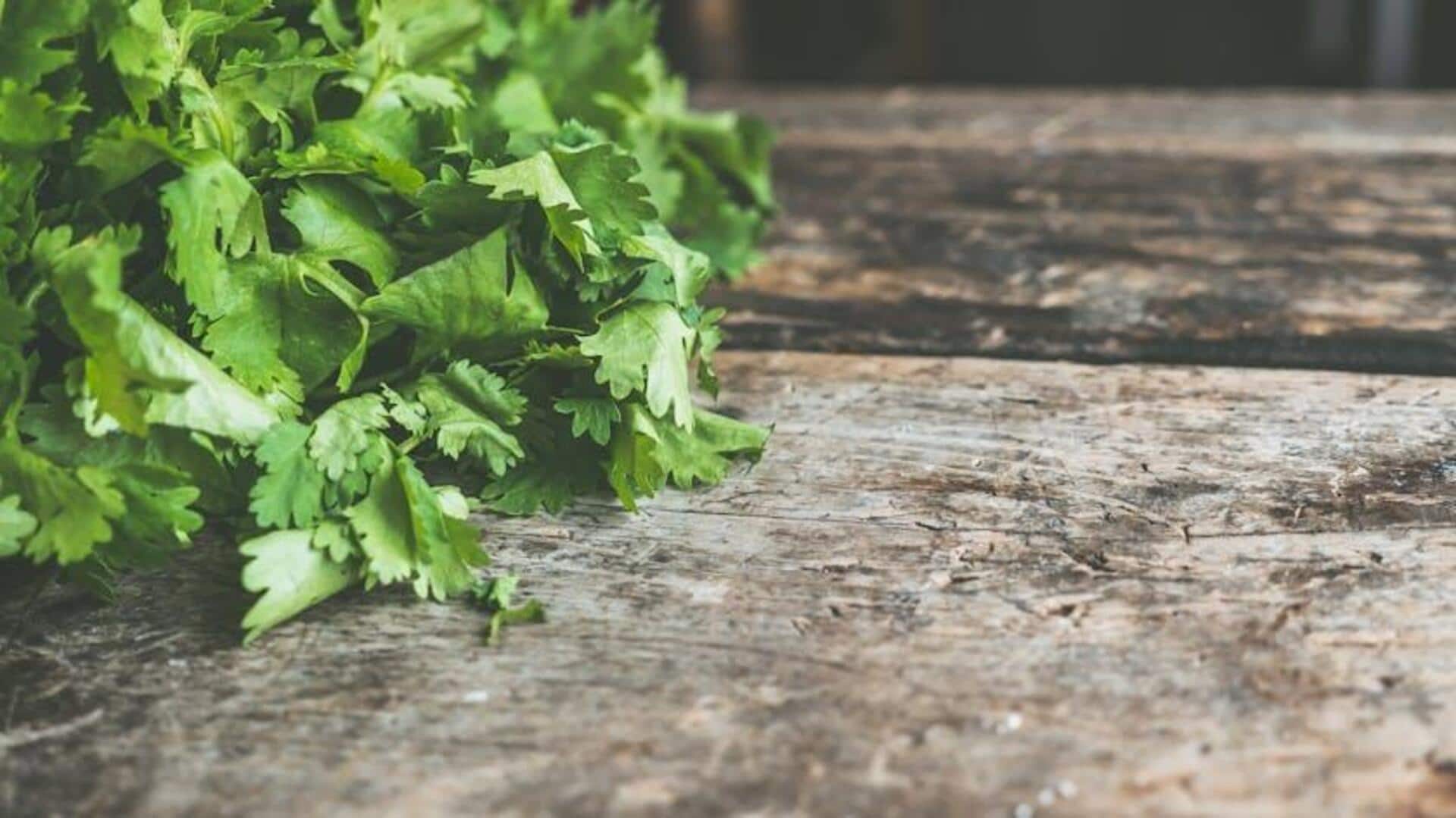 Smart ways to store fresh herbs