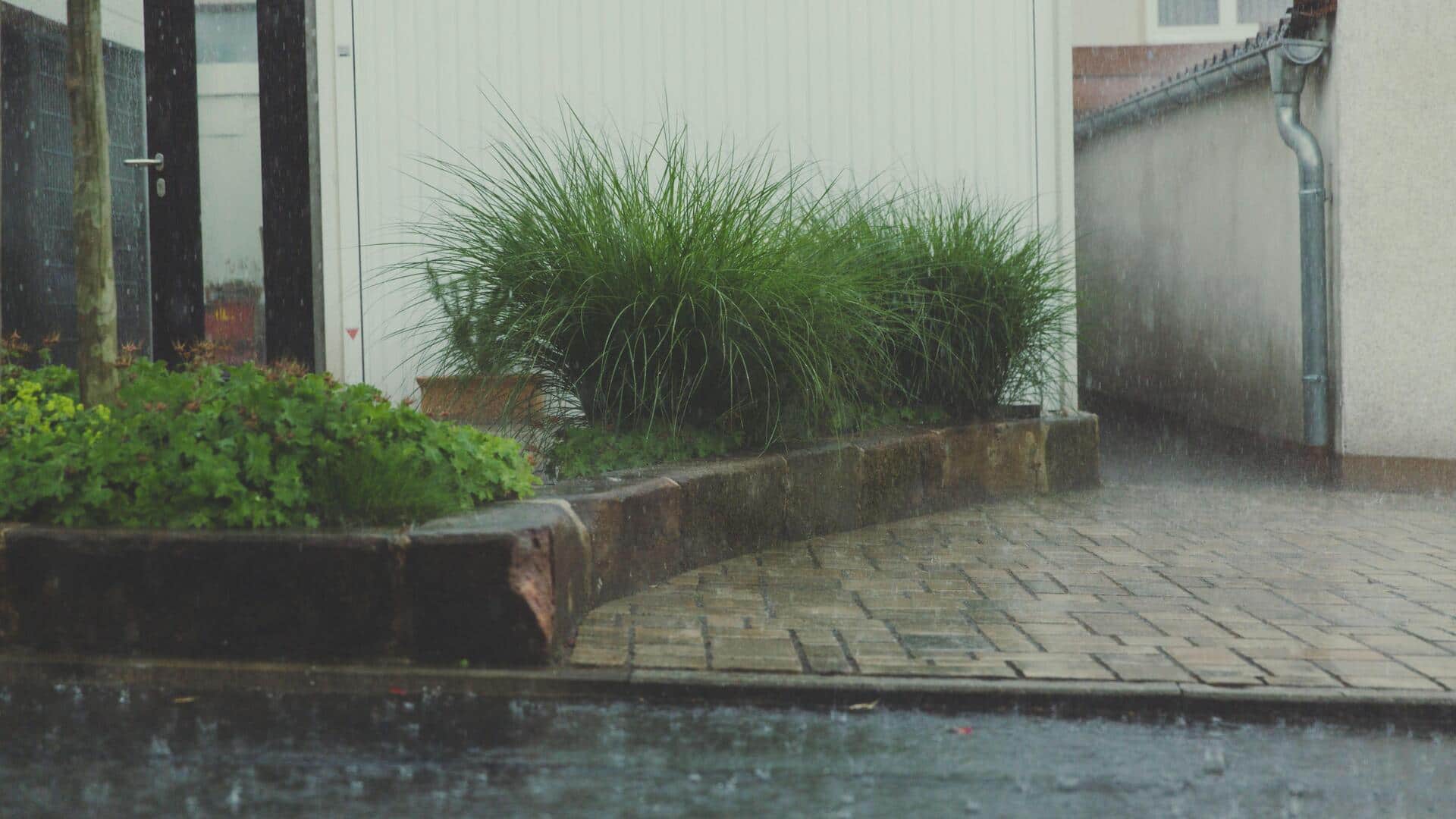 Keep your garden watered without spending much