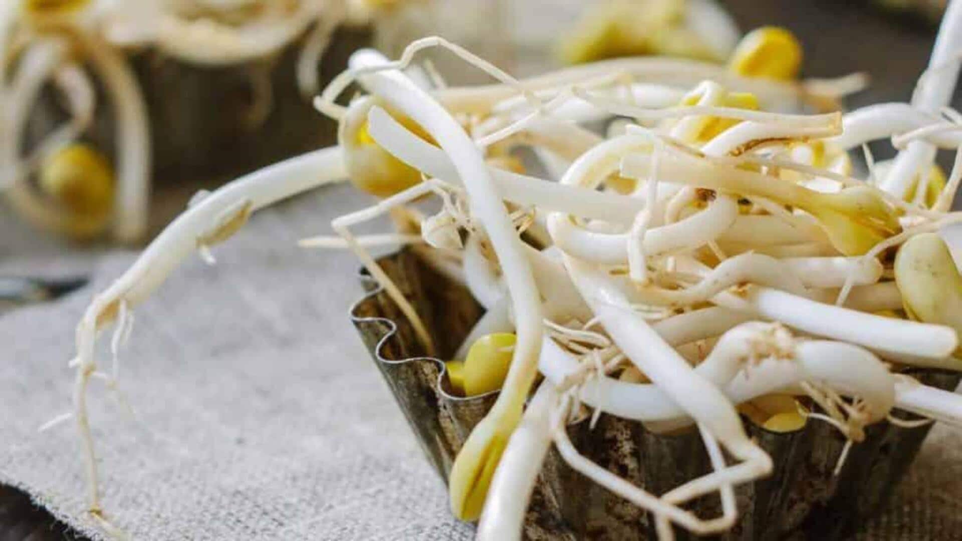 5 mung bean sprouts dishes you'll love 5 mung bean sprouts dishes you'll love