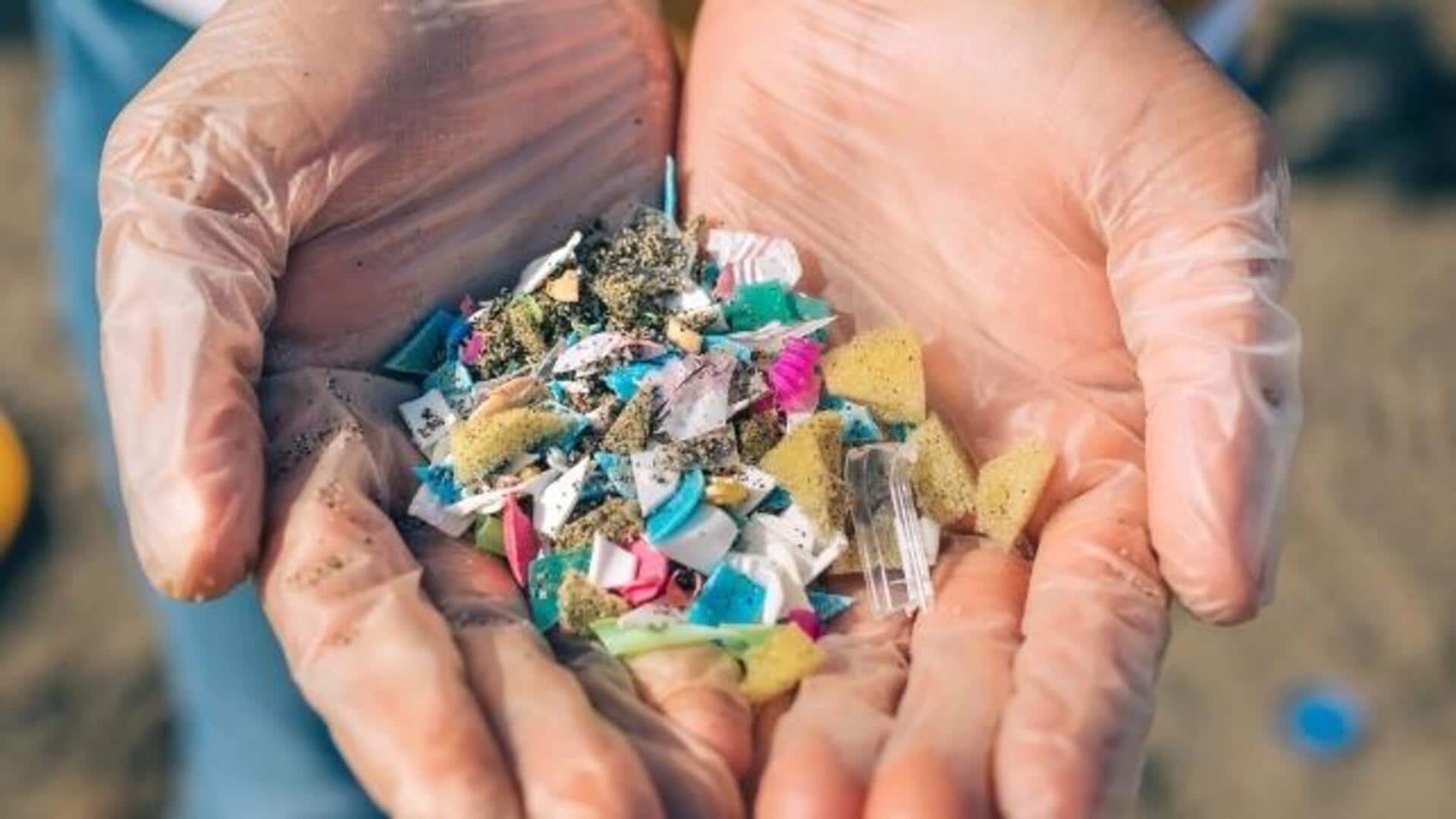 Plastic pollution is costing $1.5T in health expenses: Report Plastic pollution is costing $1.5T in health expenses: Report