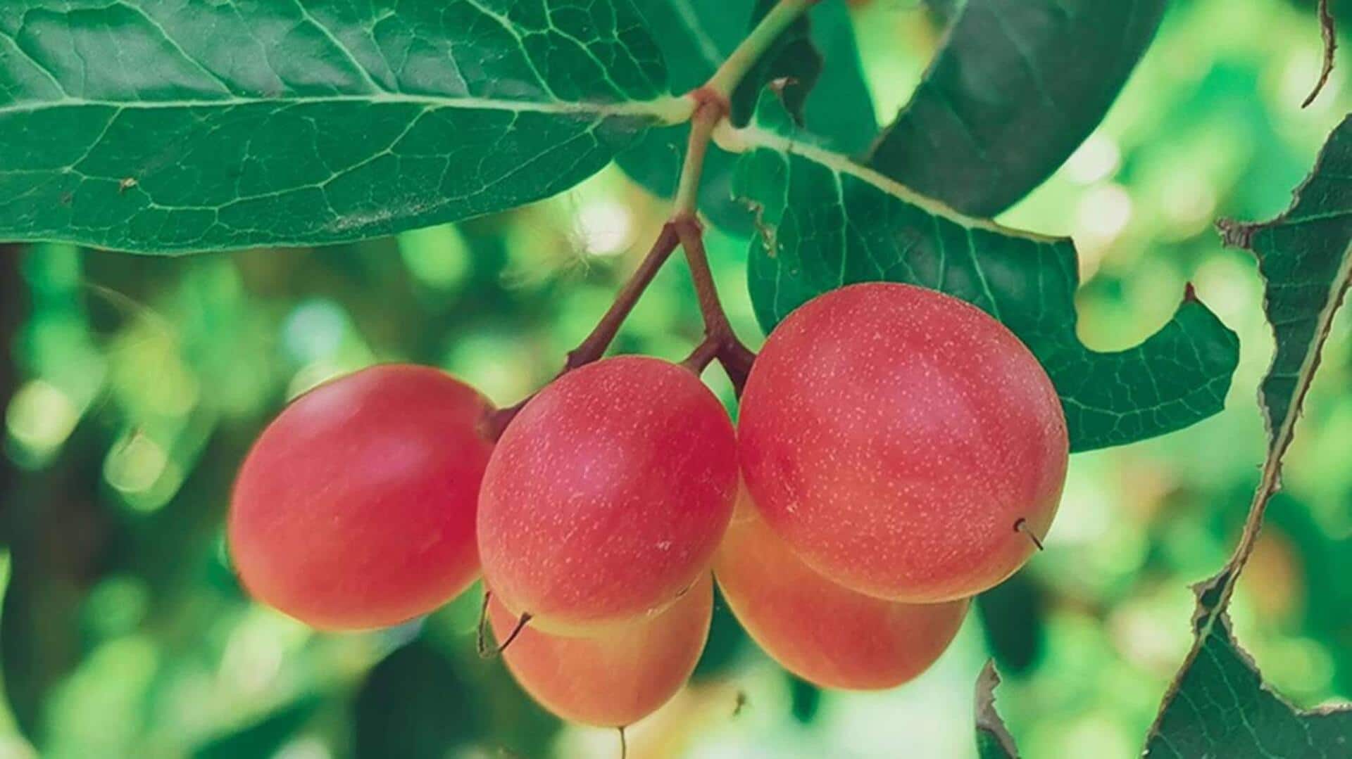 What are miracle berries? 