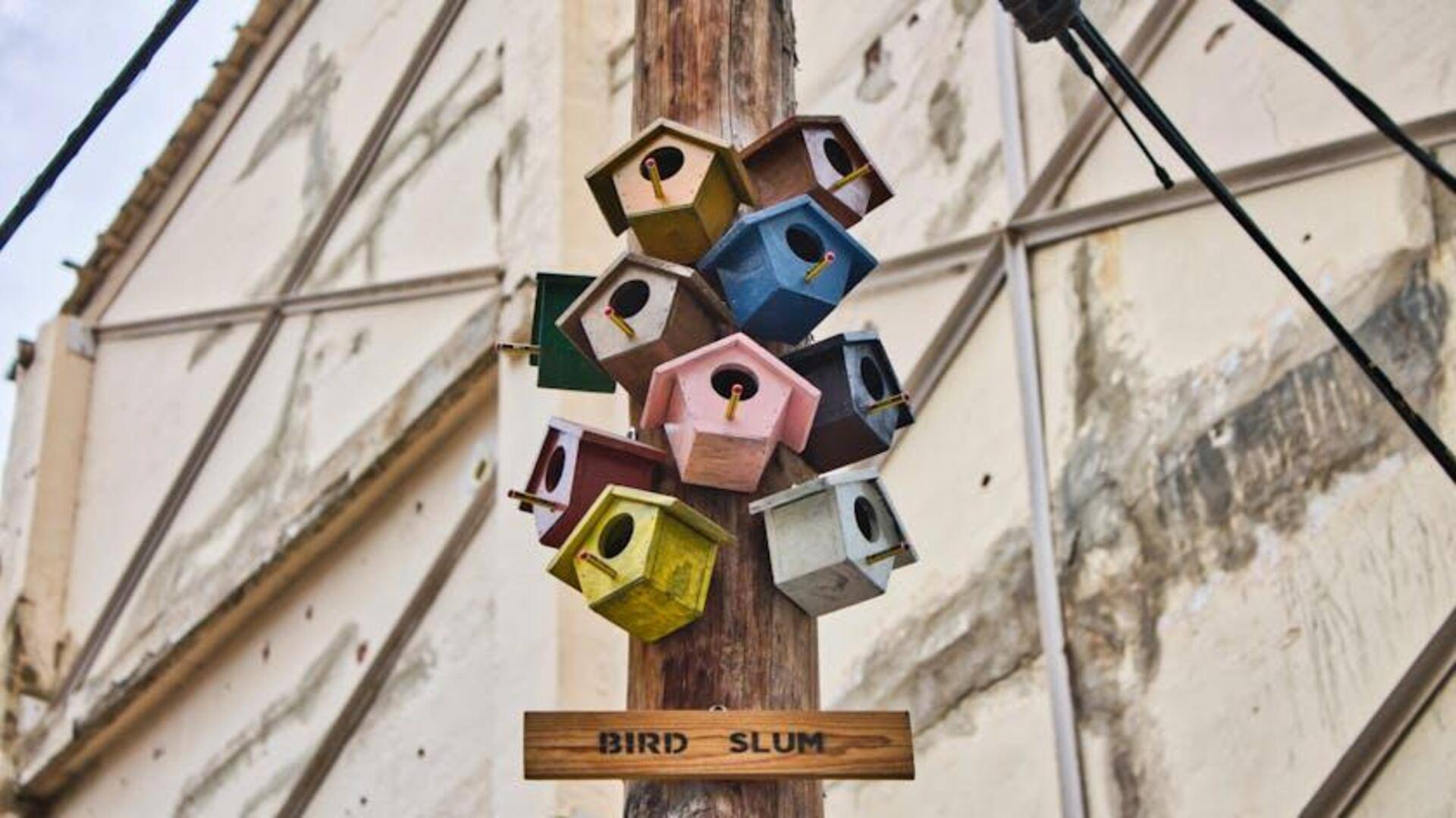 Master African eco-friendly birdhouses construction like a pro