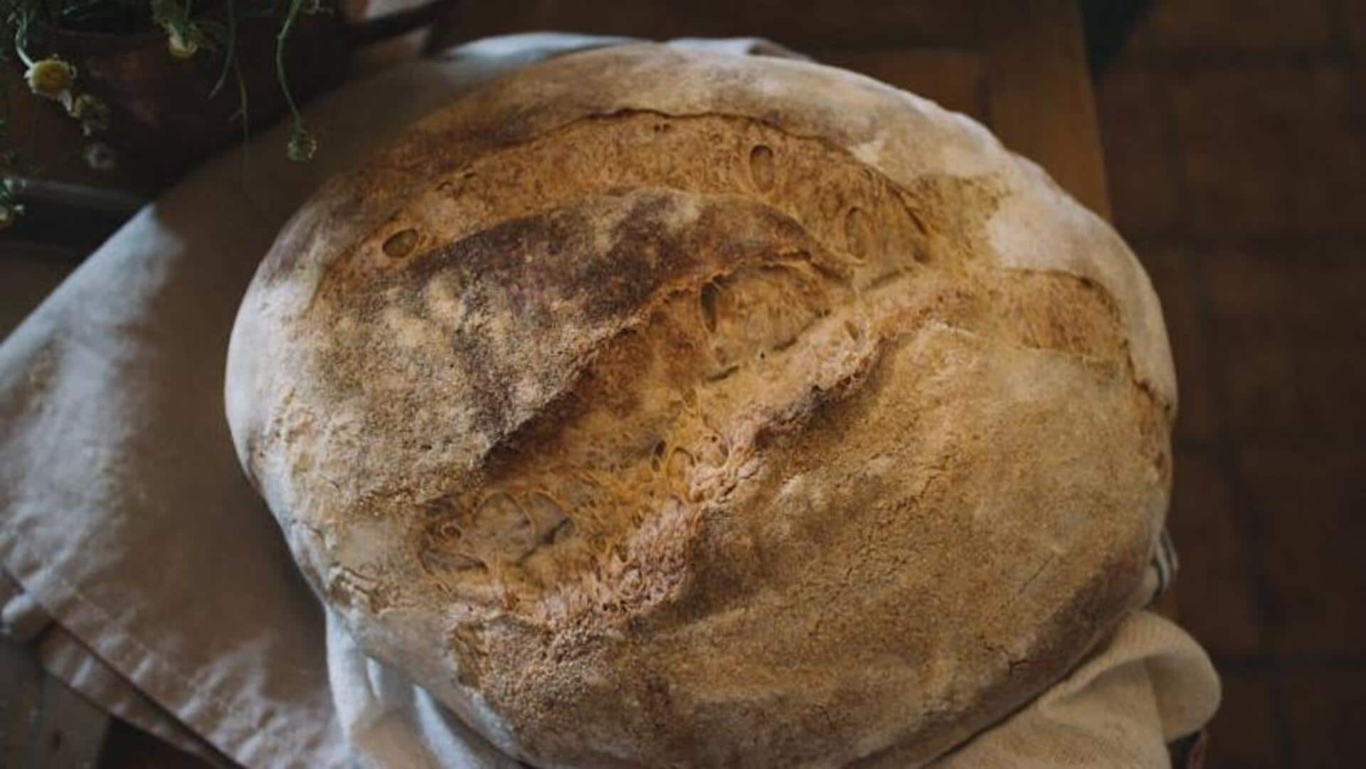 Embarking on a gluten-free vegan sourdough journey