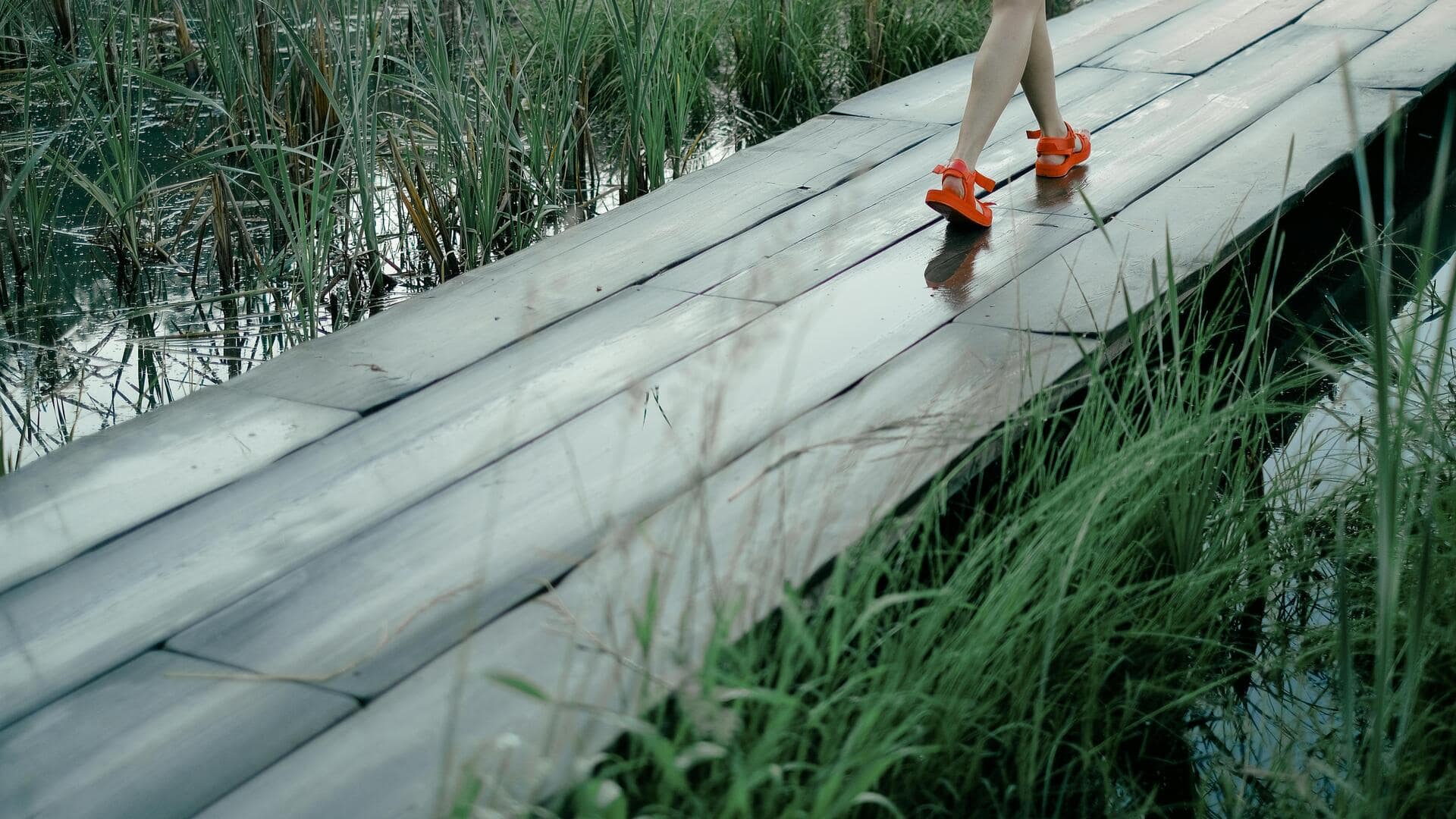 Marsh walking has these surprising health benefits