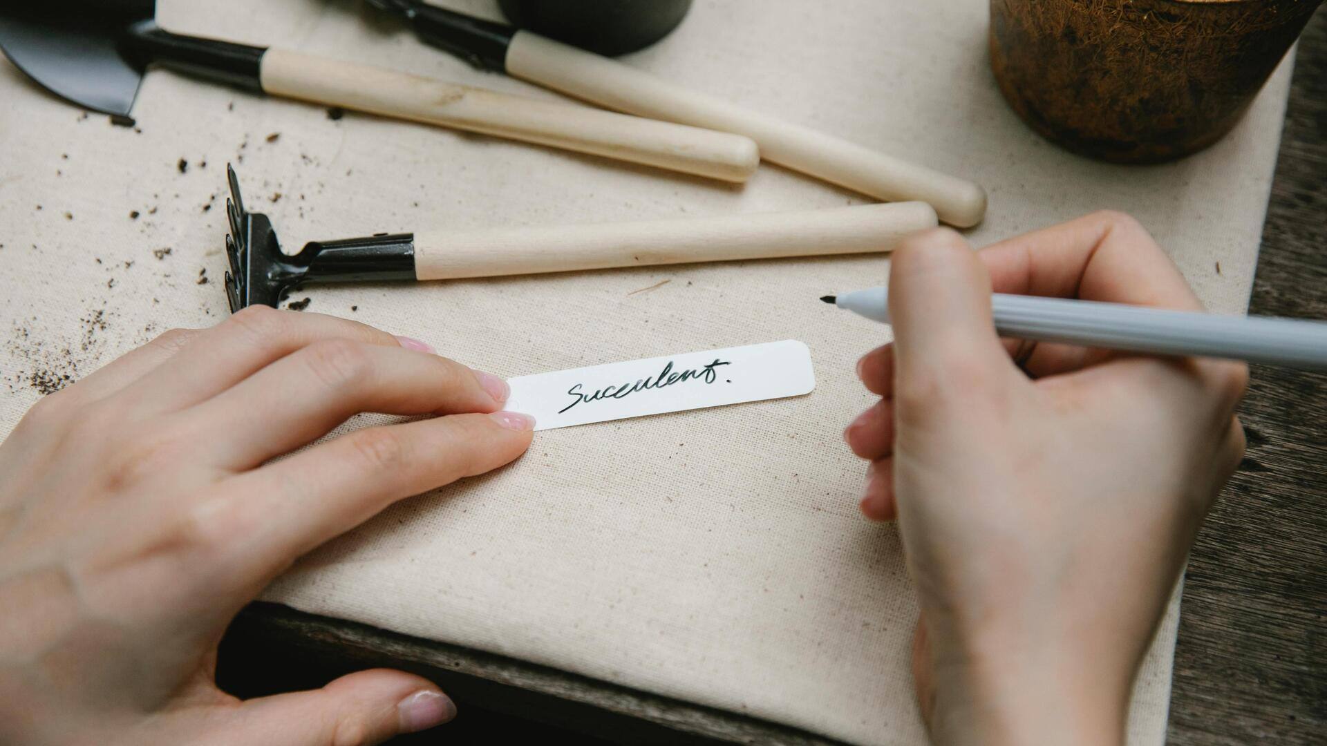 How to use disposable spoons as plant markers