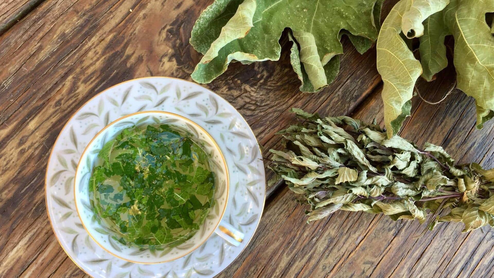 Fig tea leaves benefits we bet you didn't know Fig tea leaves benefits we bet you didn't know