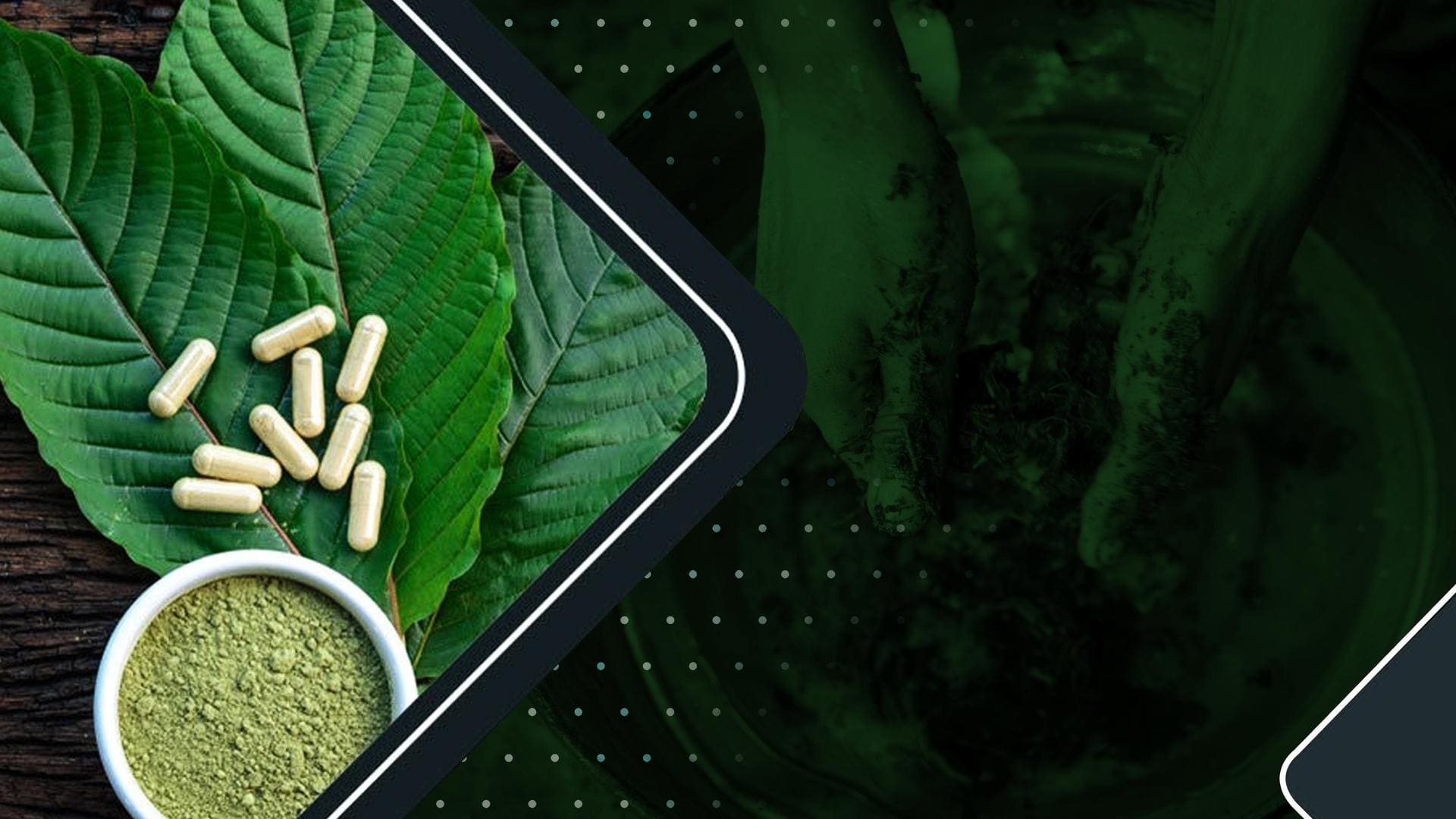 Heard of Kratom? It's a herbal extract with many benefits