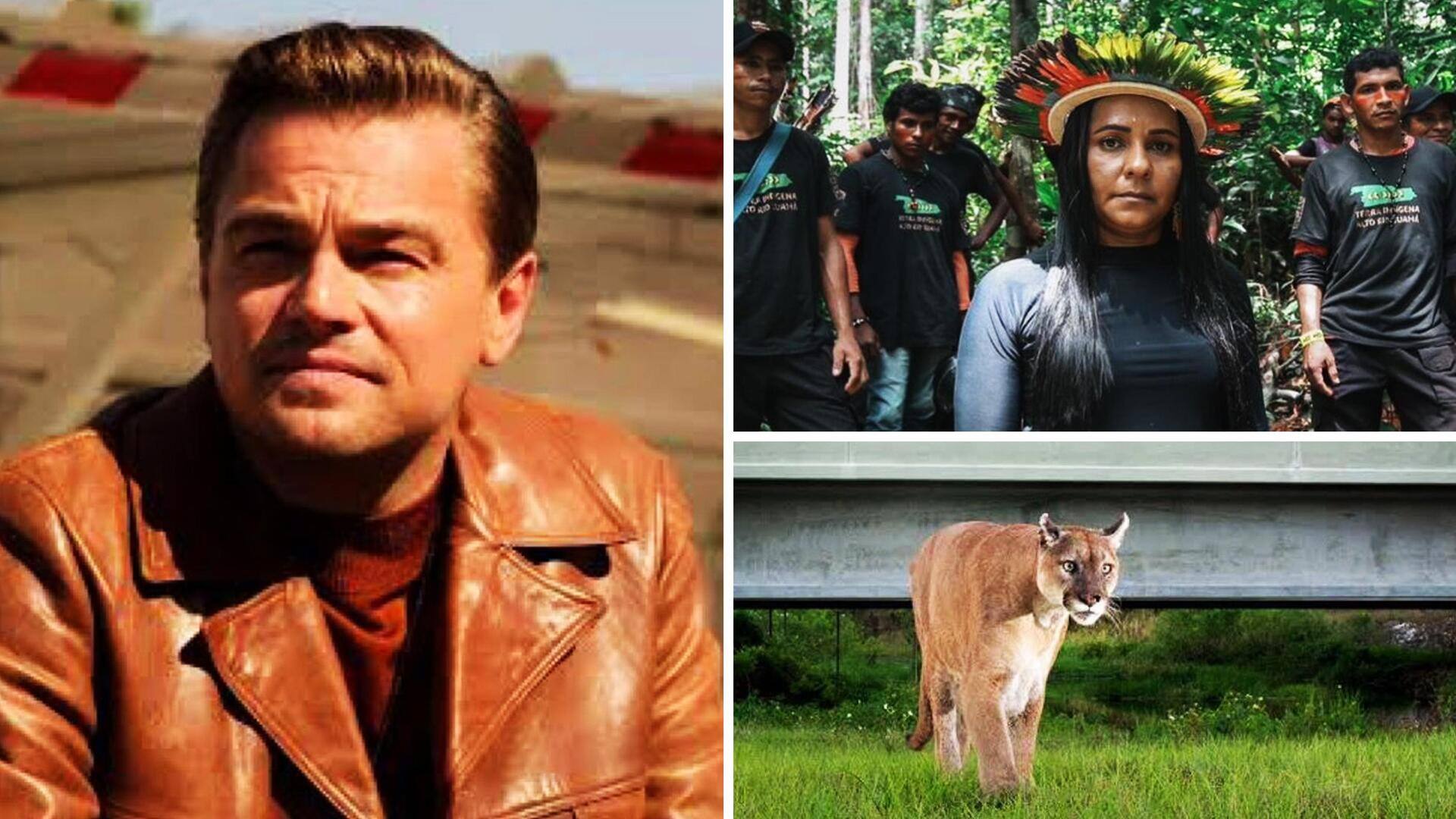 Leonardo DiCaprio's 2 environmental films set for their Indian premiere