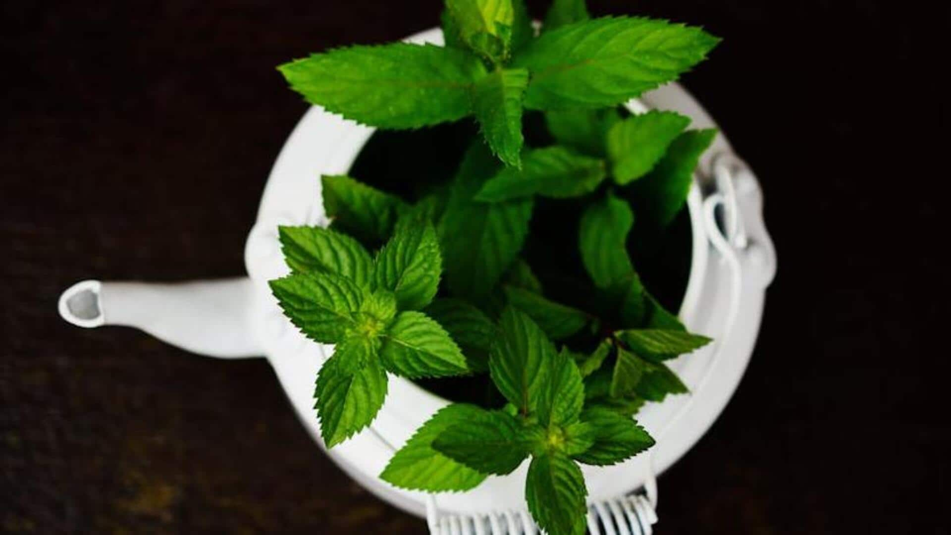 Brightening meals with peppermint essence