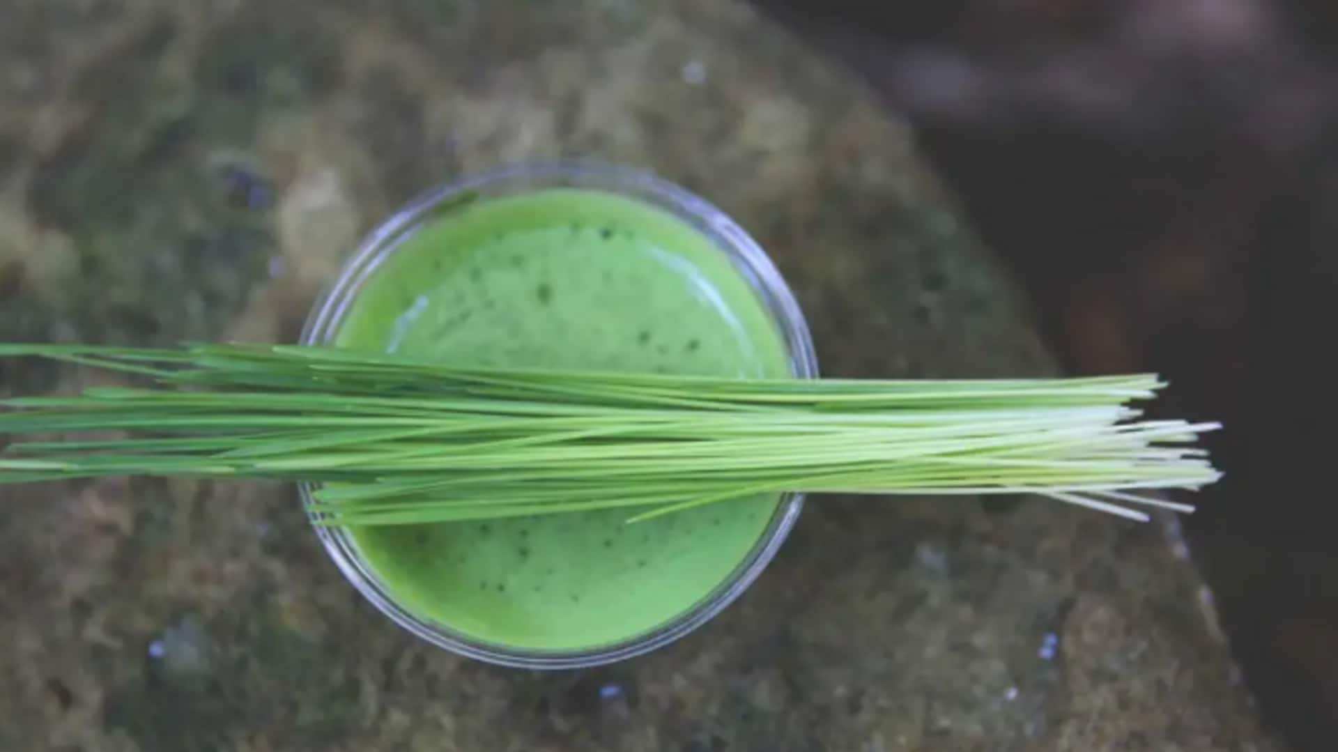 Wheatgrass for fine hair: 5 nourishing mixes to try