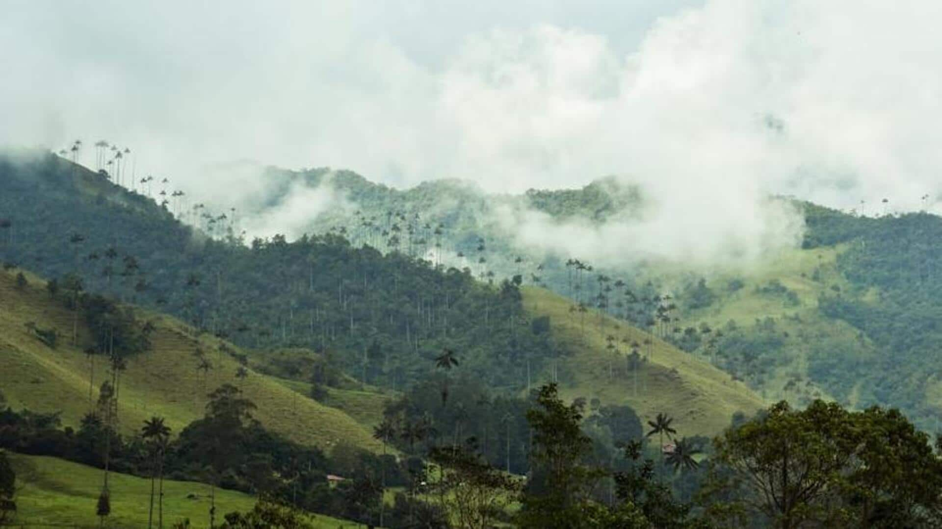 Trekking the cloud-capped Valle de Cocora, Colombia