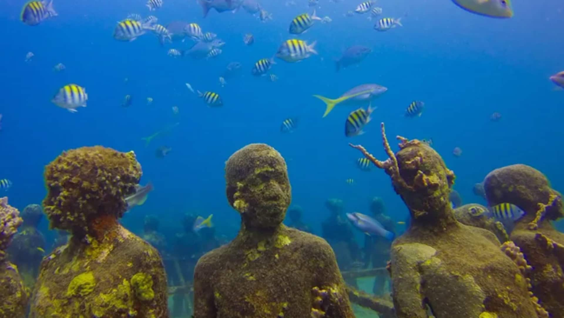 Dive into Grenada's underwater marvels and green initiatives