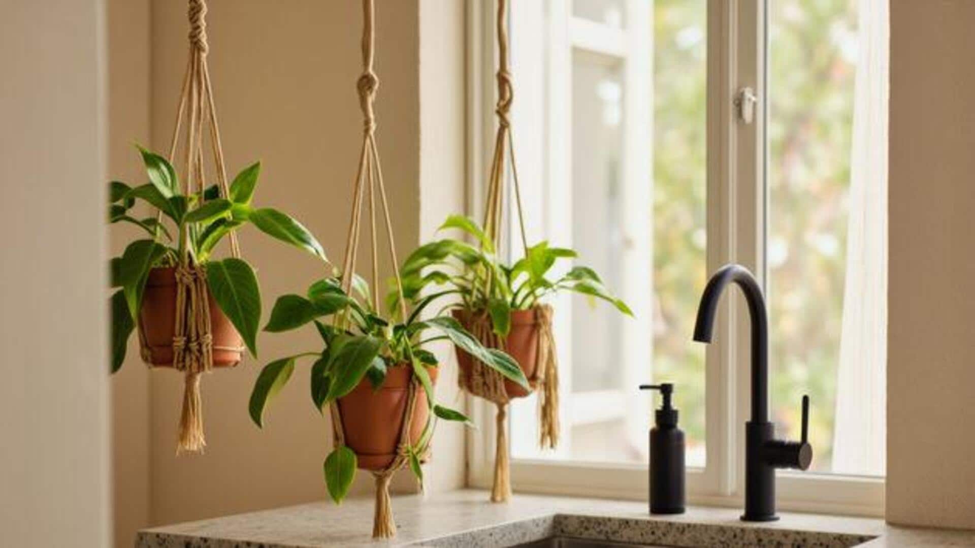 DIY indoor planters: 5 fun and easy ideas 