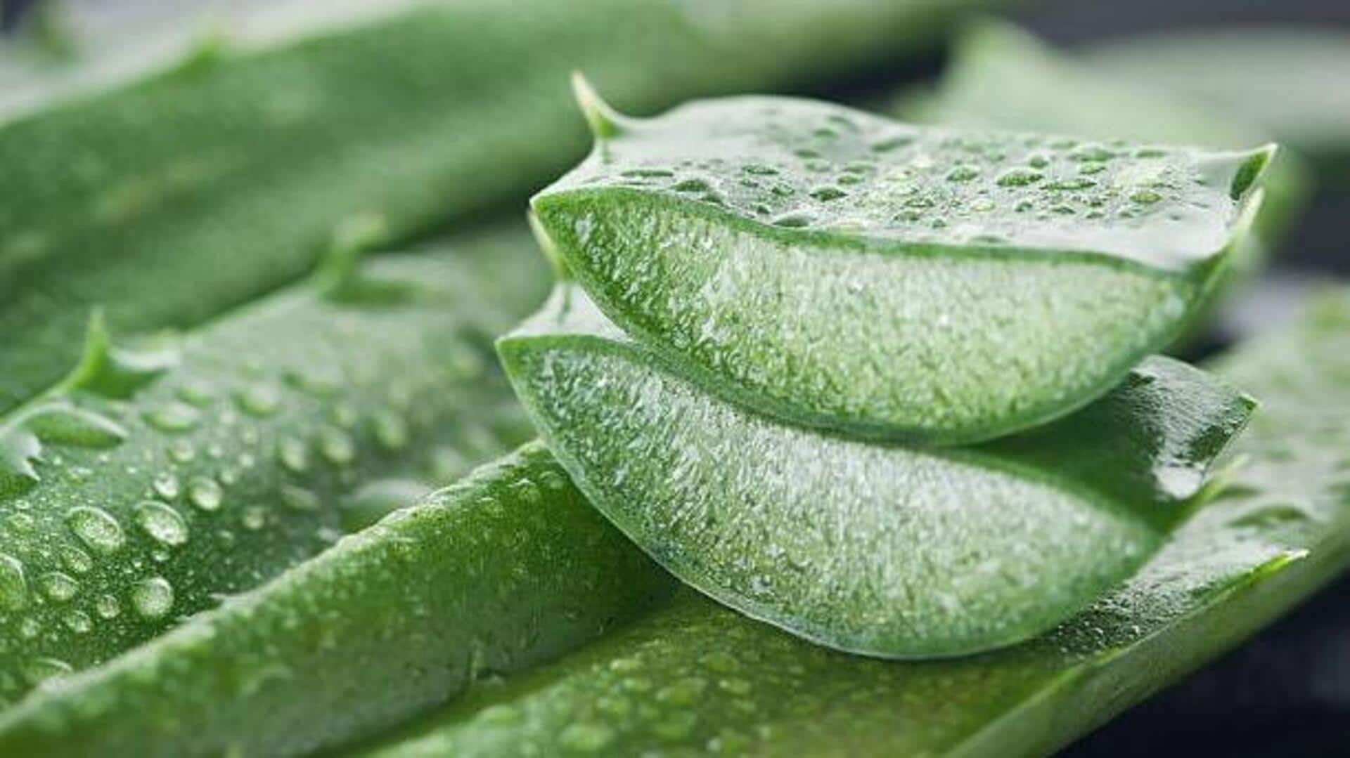 Surprising health benefits of aloe vera